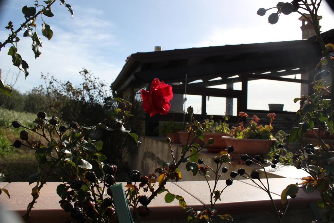 La Casa Di Bia Bed & Breakfast กอร์เลโอเน ภายนอก รูปภาพ