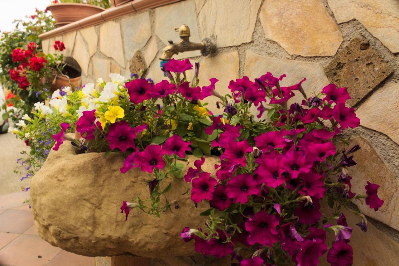 La Casa Di Bia Bed & Breakfast กอร์เลโอเน ภายนอก รูปภาพ
